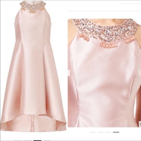 Adrianna Papell Dresses & Skirts - Adrianna Papell blush pink hi-lo cocktail dress 14